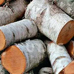 Дрова березовые чурками Дрова березовые чурками