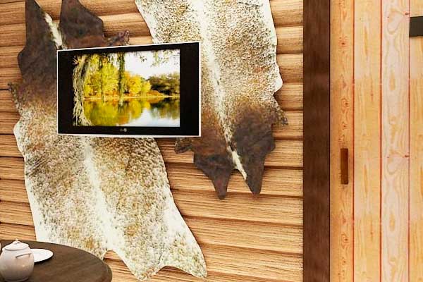 Интерьер бани