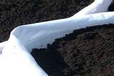 Мешок чернозёма