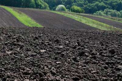 плодородный