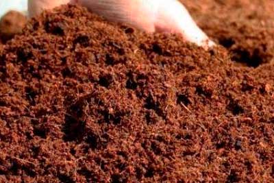 Верховой торф