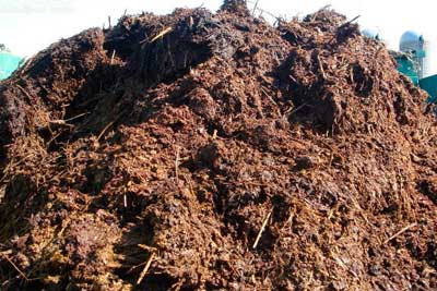 купить коровий навоз