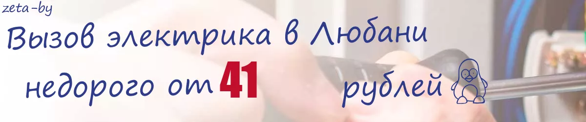 Электрик в Любани