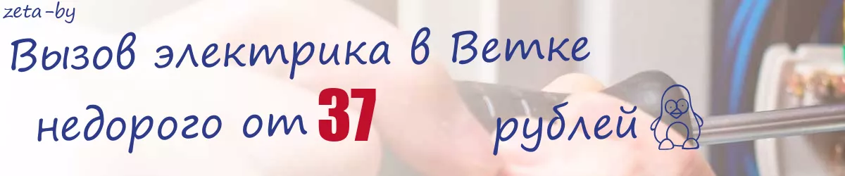 Электрик в Ветке